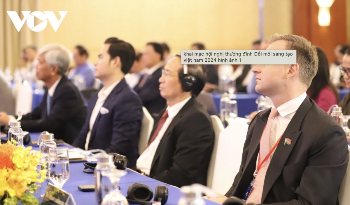 Vietnam Innovation Summit 2024 helps enhance quality of startup ecosystem